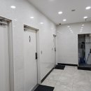 룡산399 이미지
