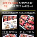 누렁이한우종가 이미지