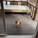 감악산 황토방 이미지