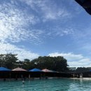 통일로 수영장 이미지