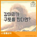 사바나동물병원 이미지