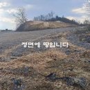 괴산군 불정면 귀농부지 전2345평 평당12만원 이미지