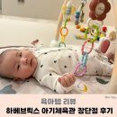 제일체육관 | 하베브릭스 아기체육관 사용시기와 장단점 내돈내산 후기