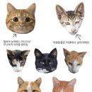밈