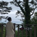 36 | [ 부산 2박3일 뚜벅이 여행 ] 5월 엄마와 단둘이 가성비 여행코스로 추천 (feat. 부산투어패스)