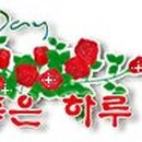 하나콘도민박 이미지