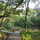 용인자연휴양림 야영장 이미지