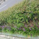 서대신역 이미지