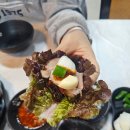 오늘은족발 | 천안 백석동 맛집 오늘은 족발 이용 후기 ft. 생골뱅이탕은 다음에..