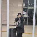 중국 하얼빈 4박 5일 여행일기✈️ (12/1~12/5)