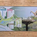 황새공원 다목적광장 이미지