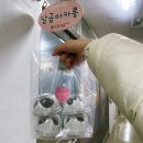 달곰마카롱 - 북구 양달로 78 | 부산 화명동 두바이 쫀득쿠키 맛집 '달곰마카롱'