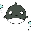 아담만두 이미지