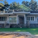 바다엔소나무 이미지