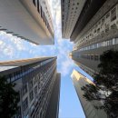 우면산3-33 이미지