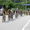 나젤코리아 이미지