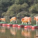 횡성한우프라자 우천점 이미지