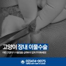 펫토피아 동물병원 이미지