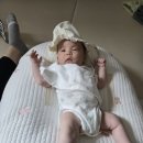 버드래미 이미지