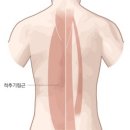 굿모닝골프아카데미