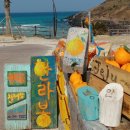 재기농산 이미지