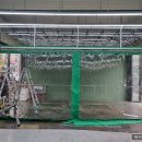 영진카세차장 이미지