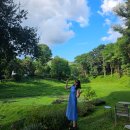 곰식's 카페(by 커피나무) | 태국 치앙마이 3탄, 5박 6일 퇴사 힐링 여행