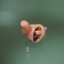 부산세기보청기 이미지