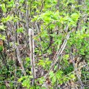 응봉개나리어린이공원 이미지