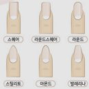 네일하는날 이미지