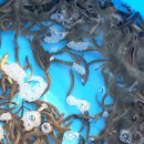 비봉경로당 이미지