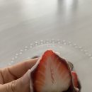 모꼬싶찌