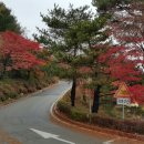 신안 퍼블릭 CC 이미지