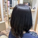 5923 | 백현동미용실 추천, 에이치플레이스 그레이츠 판교역점 나연 수석 스타일리스트 염색 후기
