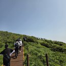 지리산의하루 | 회사워크샵프로그램, 지리산 힐링 트래킹 후기