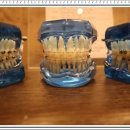 미소드림부평미치과의원 이미지