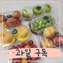철따라과일 - 창원시 진해구 안골로 339 | 여름과일 농협맛선 제철따라 과일구독 후기