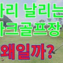 파크골프장 난이도가 높은 구장과 낮은 구장의 선호도. 파리 날리는 구장과 미어터지는 구장의 원인 분석 이미지