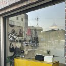 팔로디리몬 이미지