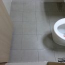 크린환경 이미지