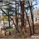 숲속토목설계사무소 이미지