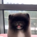 쓰리빈 이미지