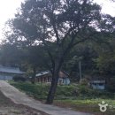 오수의견관광지 | [전라북도 임실군] 오수상설시장