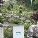 [성주 카페] 조선시대 에프터눈 티세트를 경험하고 싶다면 청담1942