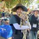 (주)해든바이오 이미지