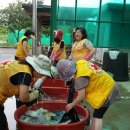 서신면사무소 이미지