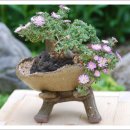 사랑한스푼 이미지