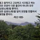 만상은 마음의 다른 모양 / 대원스님 이미지