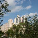 H9195 Daum카페