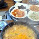 하계생오리 이미지